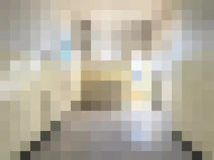 Dorpsstraat 47 Roermond thumbnail 8