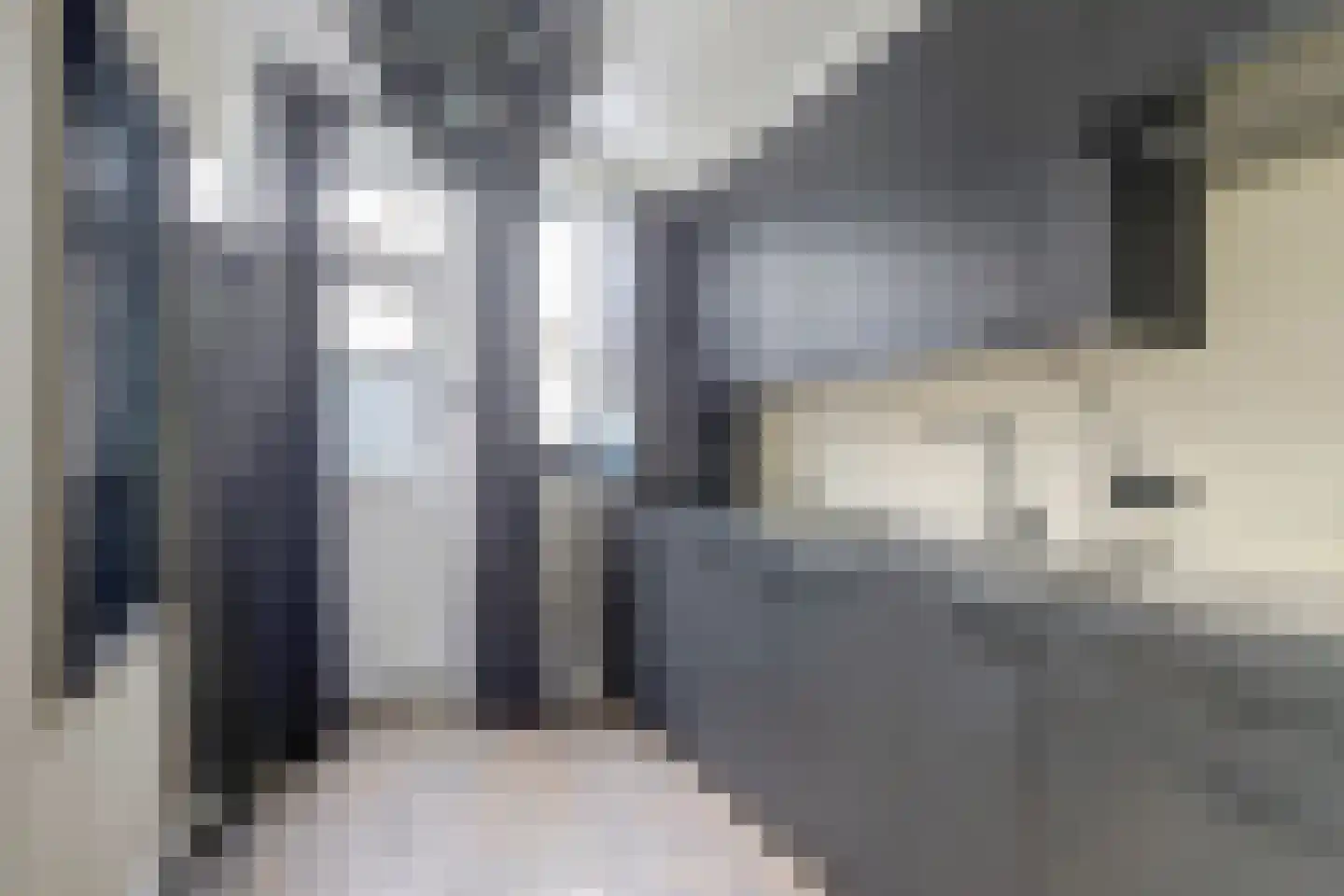 Dorpsstraat 47 Schoondijke thumbnail 13