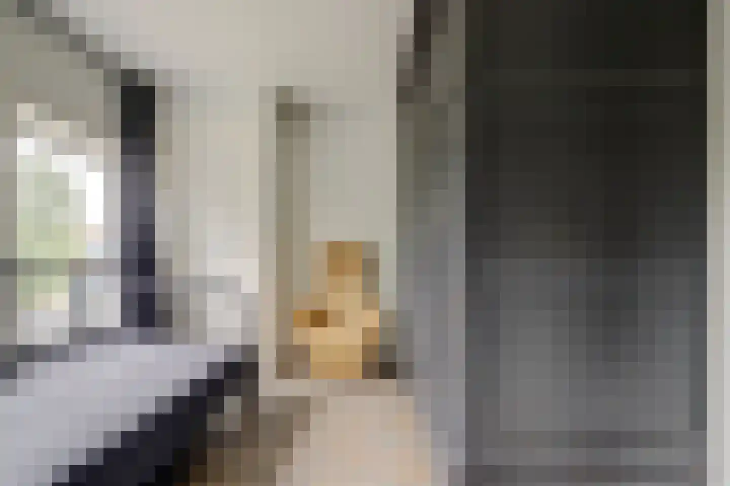 Dorpsstraat 47 Schoondijke thumbnail 19
