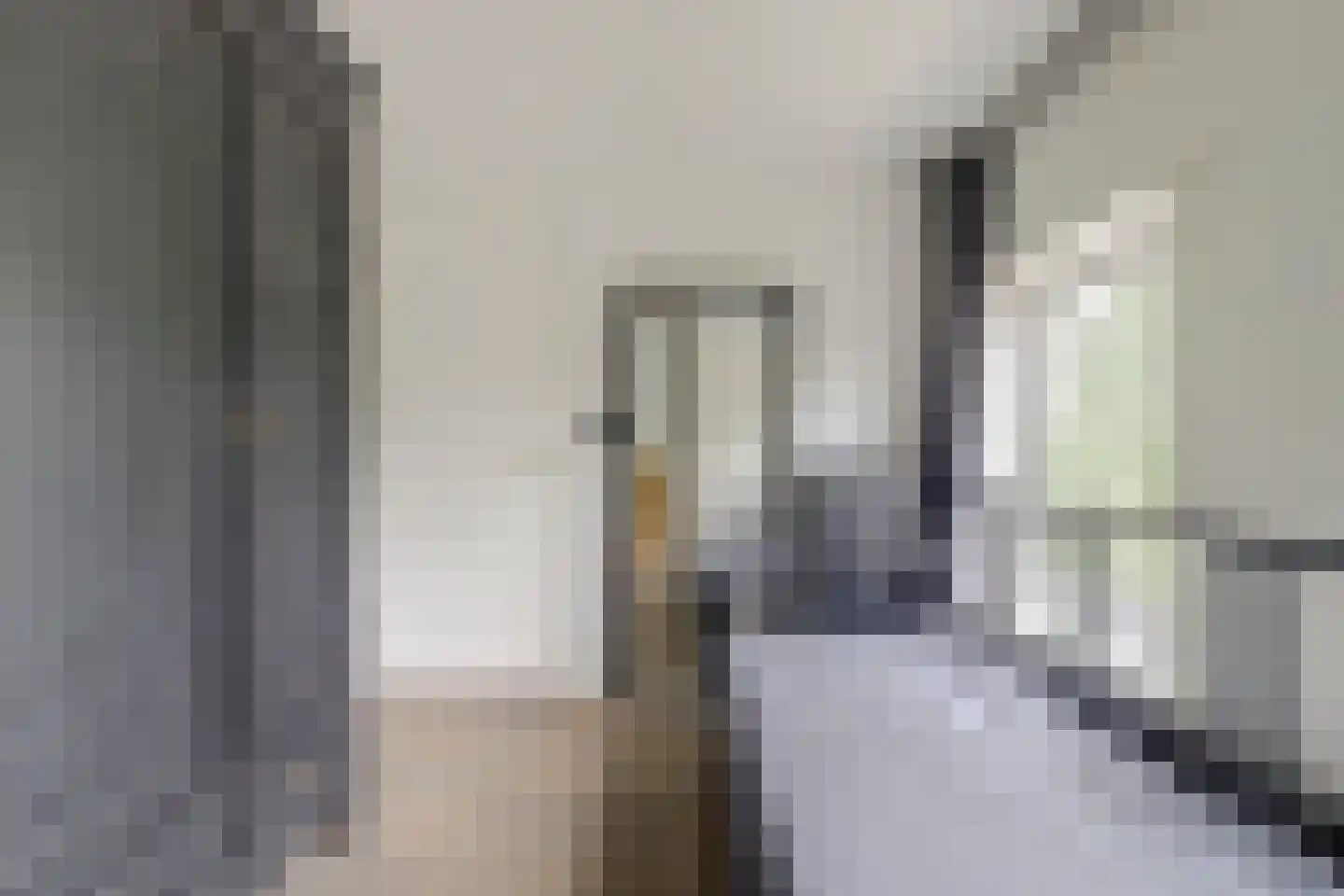 Dorpsstraat 47 Schoondijke thumbnail 20