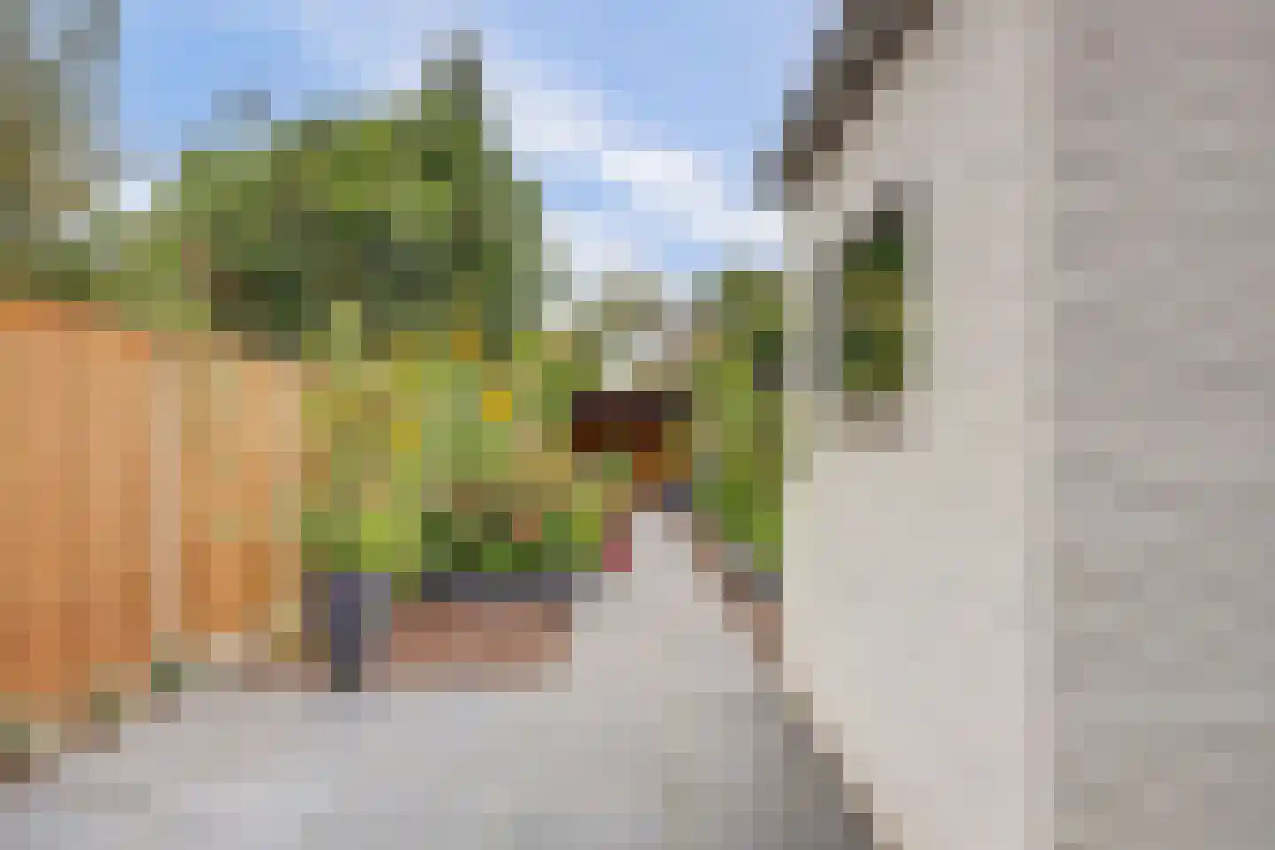 Dorpsstraat 47 Schoondijke thumbnail 25