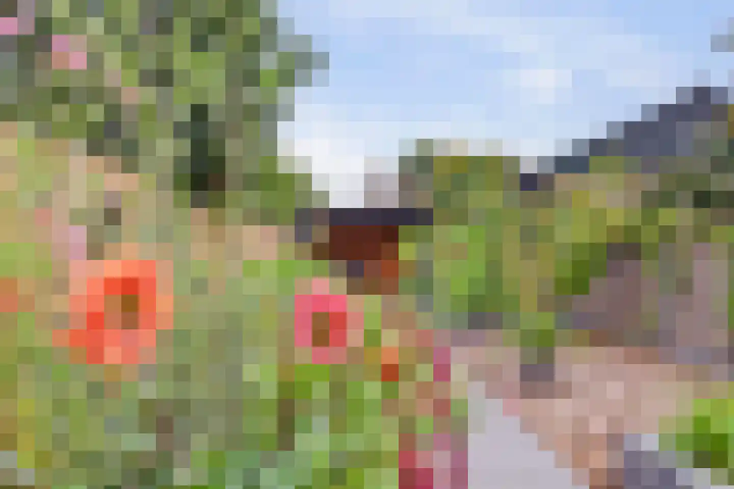 Dorpsstraat 47 Schoondijke thumbnail 30