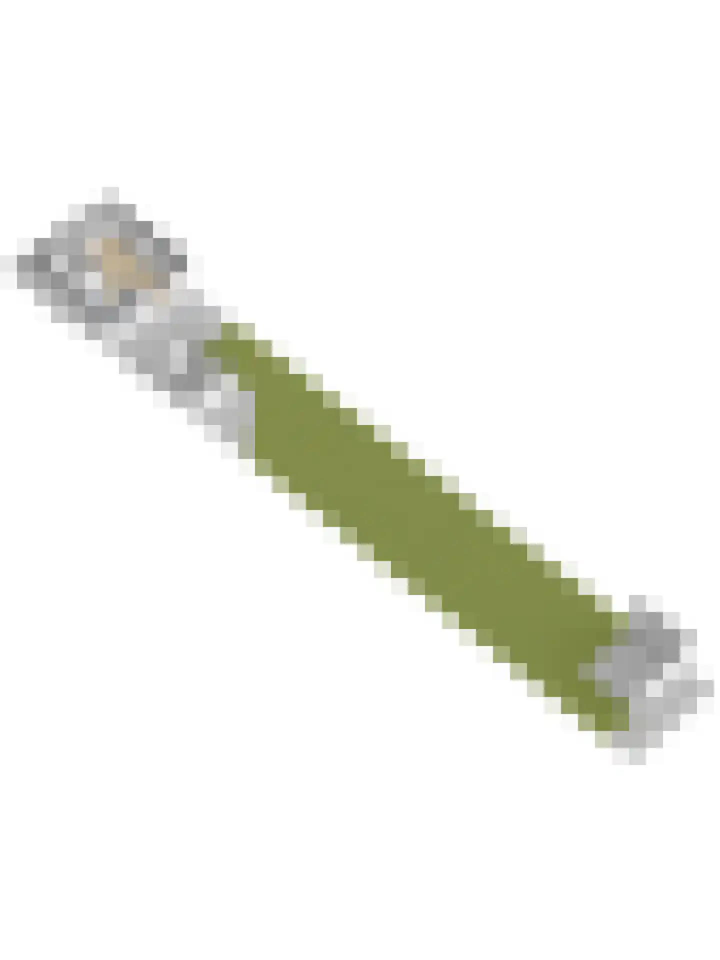 Dorpsstraat 47 Schoondijke thumbnail 39