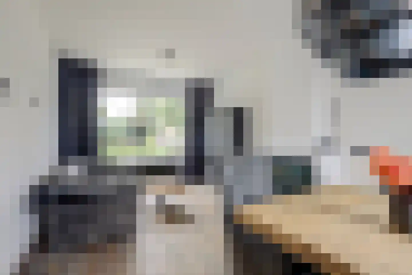 Dorpsstraat 47 Schoondijke thumbnail 9