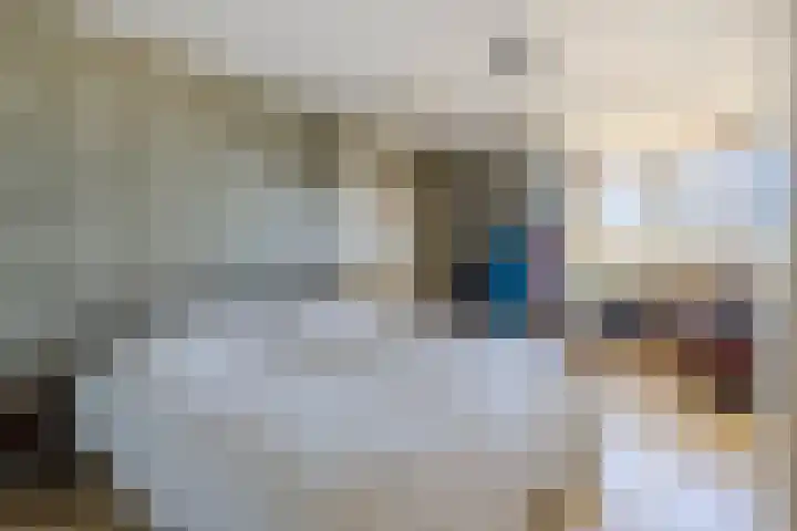 Dorpsstraat 47 Streefkerk thumbnail 13