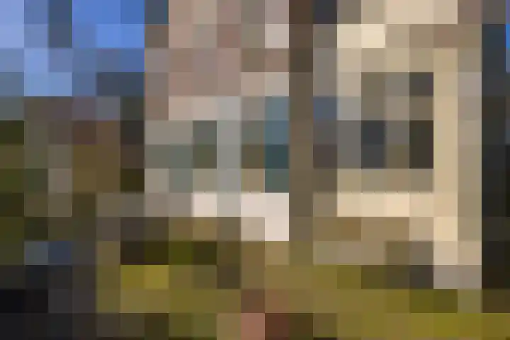 Dorpsstraat 47 Streefkerk thumbnail 22