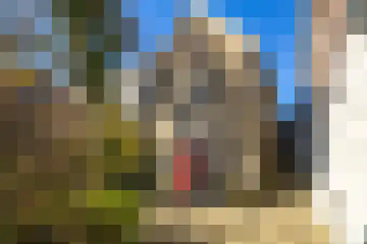 Dorpsstraat 47 Streefkerk thumbnail 28