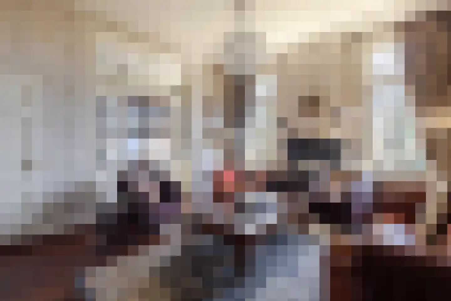 Dorpsstraat 47 Streefkerk thumbnail 5