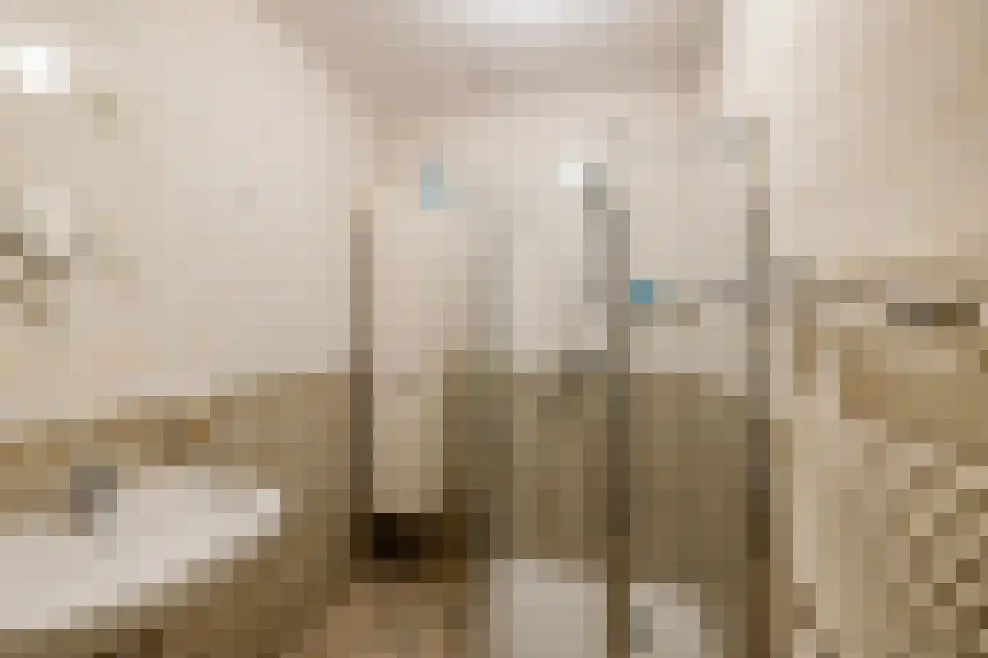 Dorpsstraat 48 Eexterveen thumbnail 12
