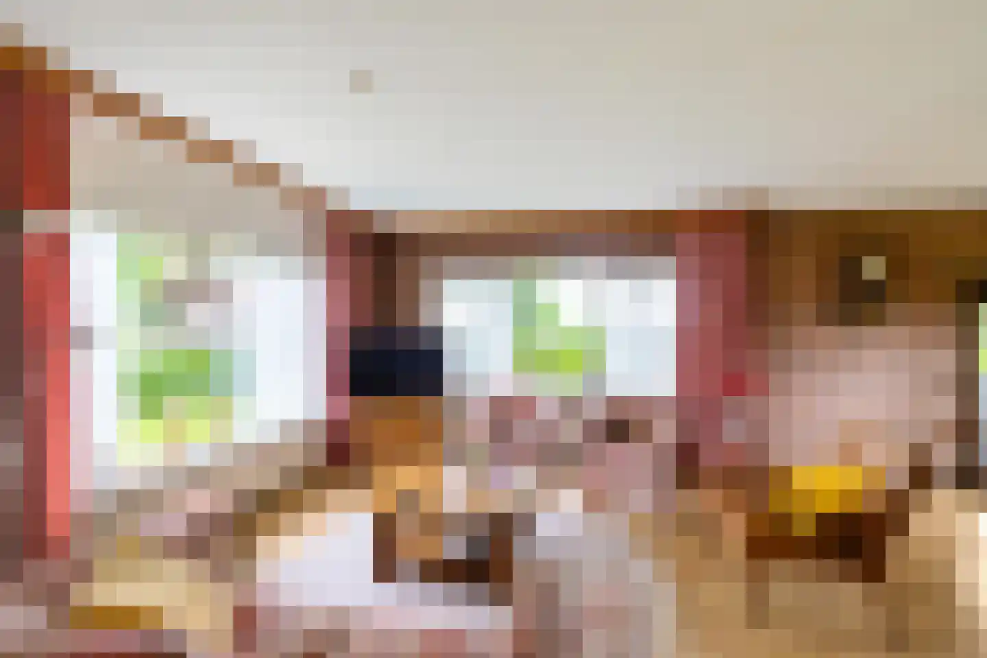 Dorpsstraat 48 Eexterveen thumbnail 19