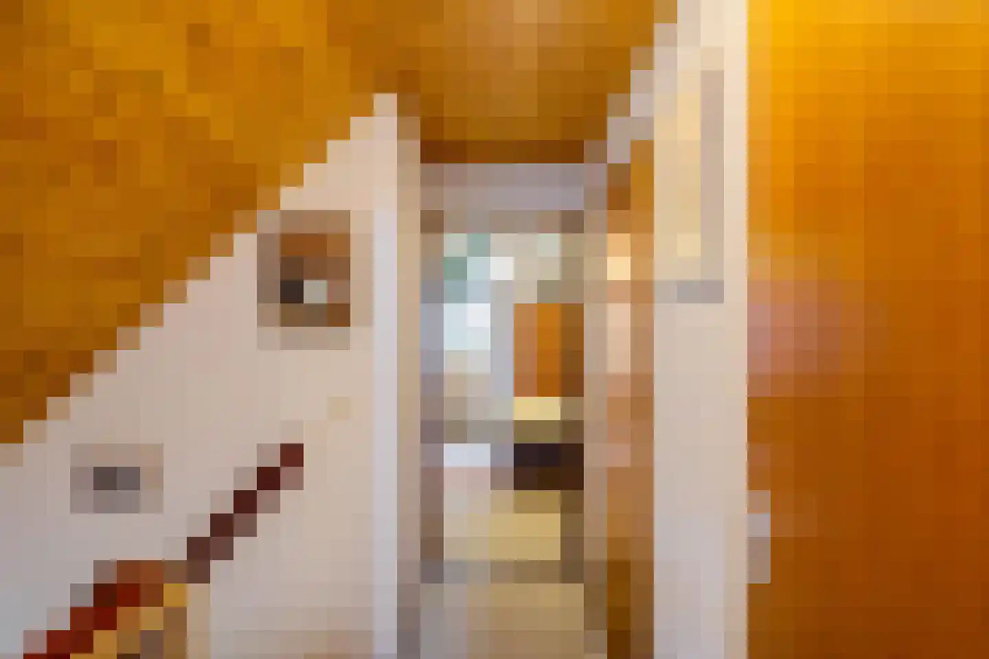 Dorpsstraat 48 Eexterveen thumbnail 26