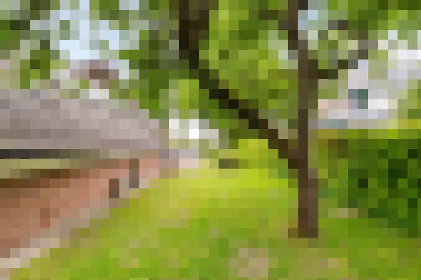 Dorpsstraat 48 Eexterveen thumbnail 37