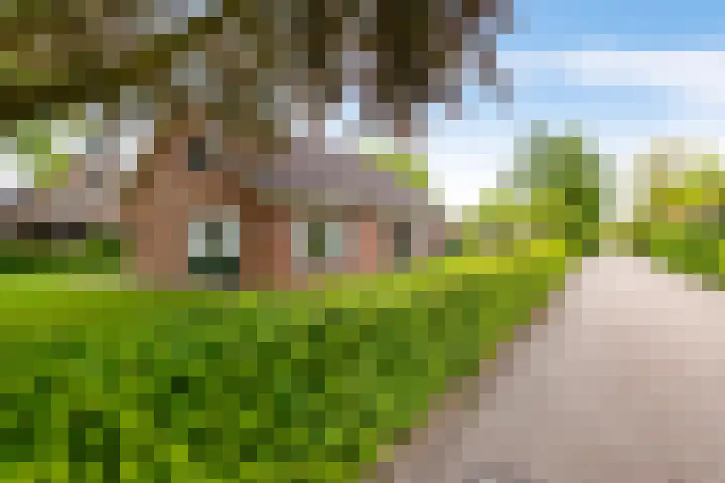 Dorpsstraat 48 Eexterveen thumbnail 40
