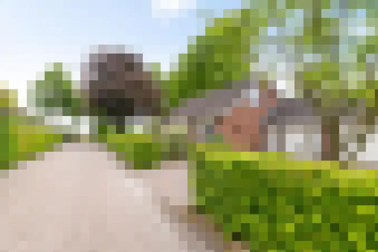 Dorpsstraat 48 Eexterveen thumbnail 41