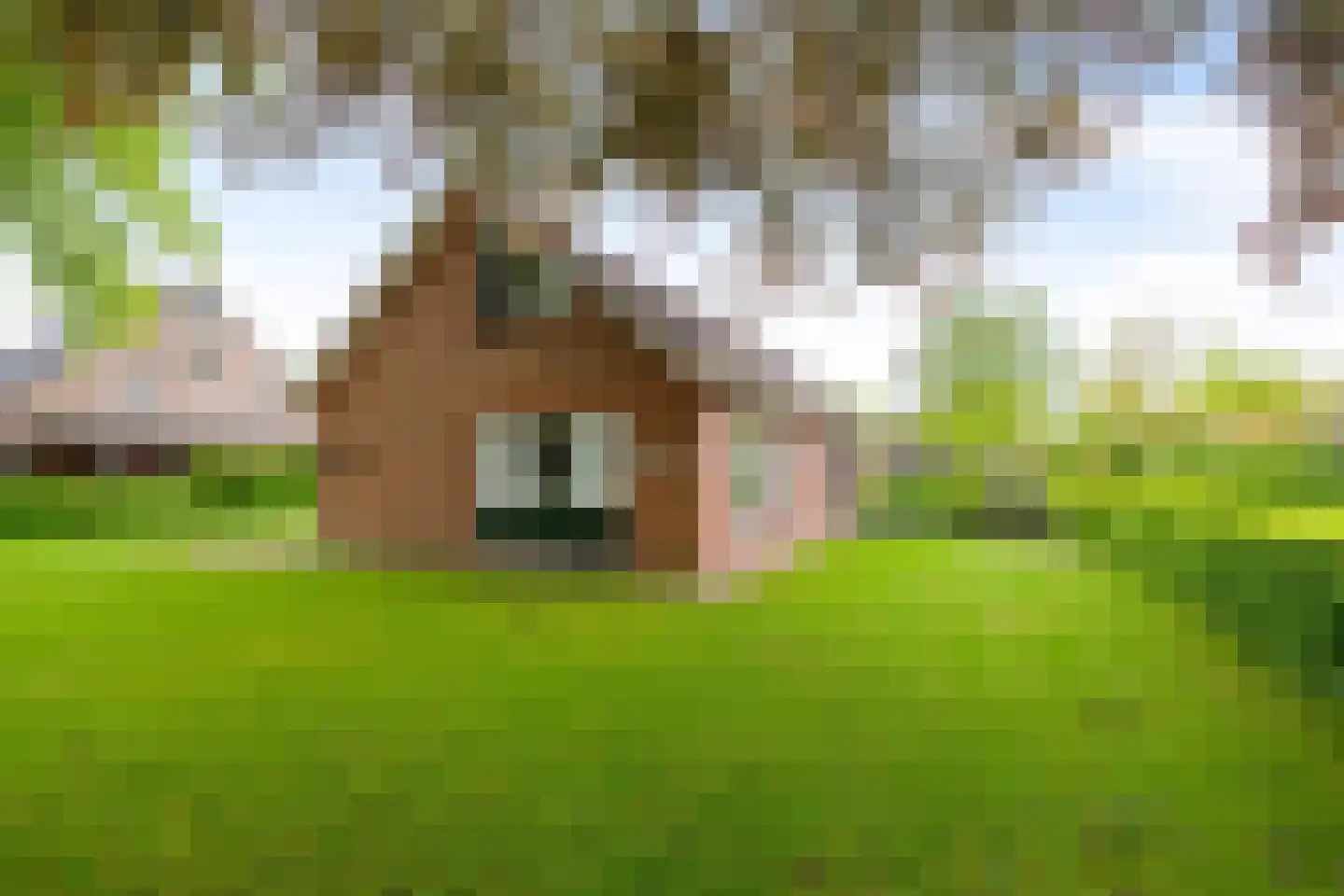 Dorpsstraat 48 Eexterveen thumbnail 42