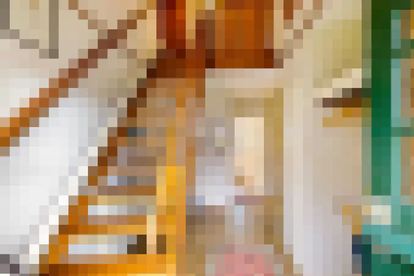Dorpsstraat 48 Eexterveen thumbnail 9