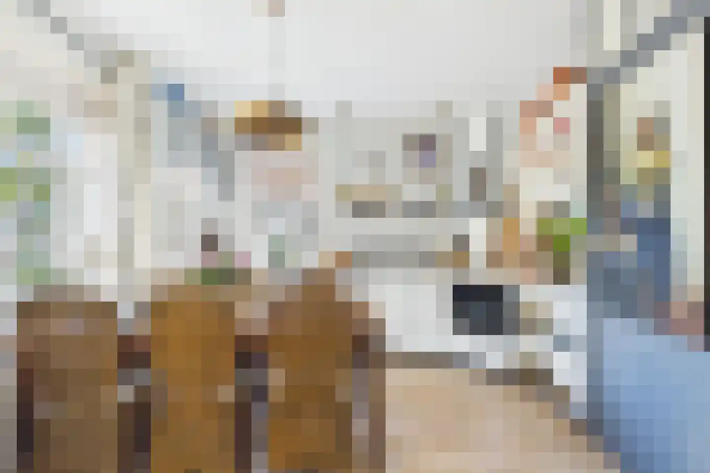 Dorpsstraat 48 Gapinge thumbnail 12