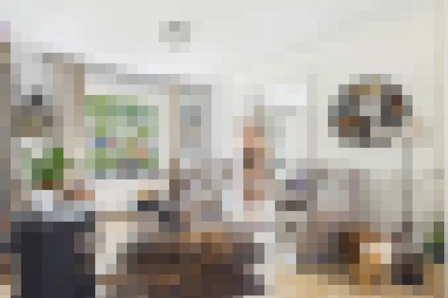 Dorpsstraat 48 Gapinge thumbnail 14