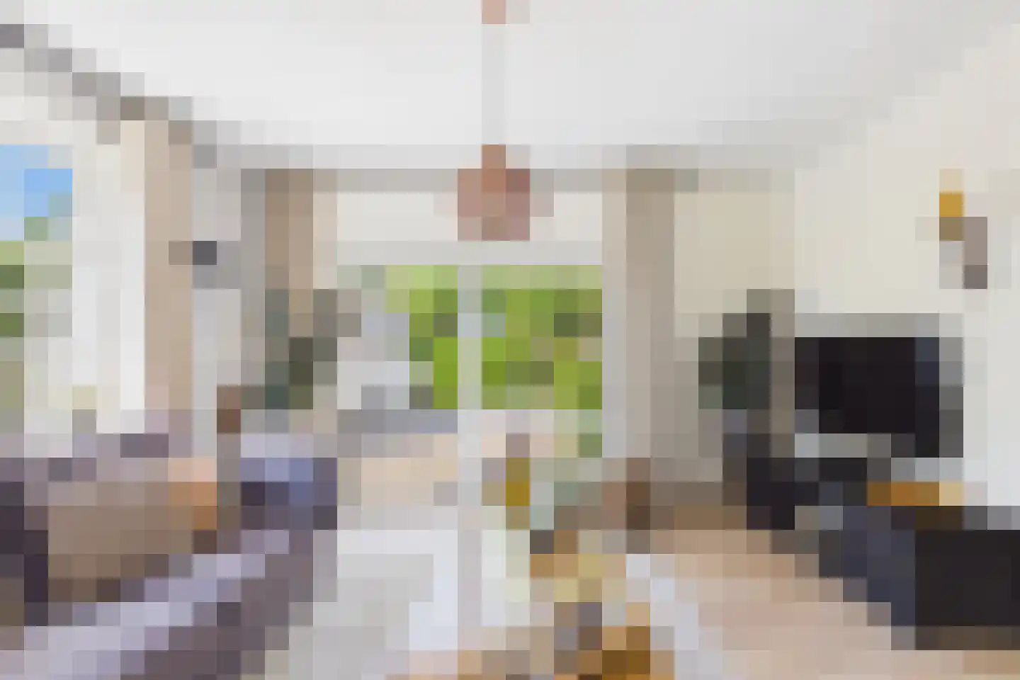 Dorpsstraat 48 Gapinge thumbnail 18