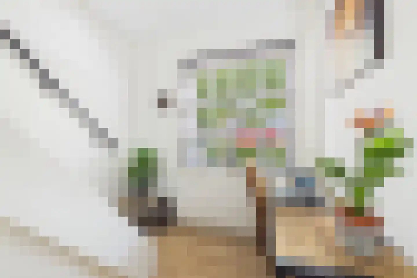 Dorpsstraat 48 Gapinge thumbnail 20