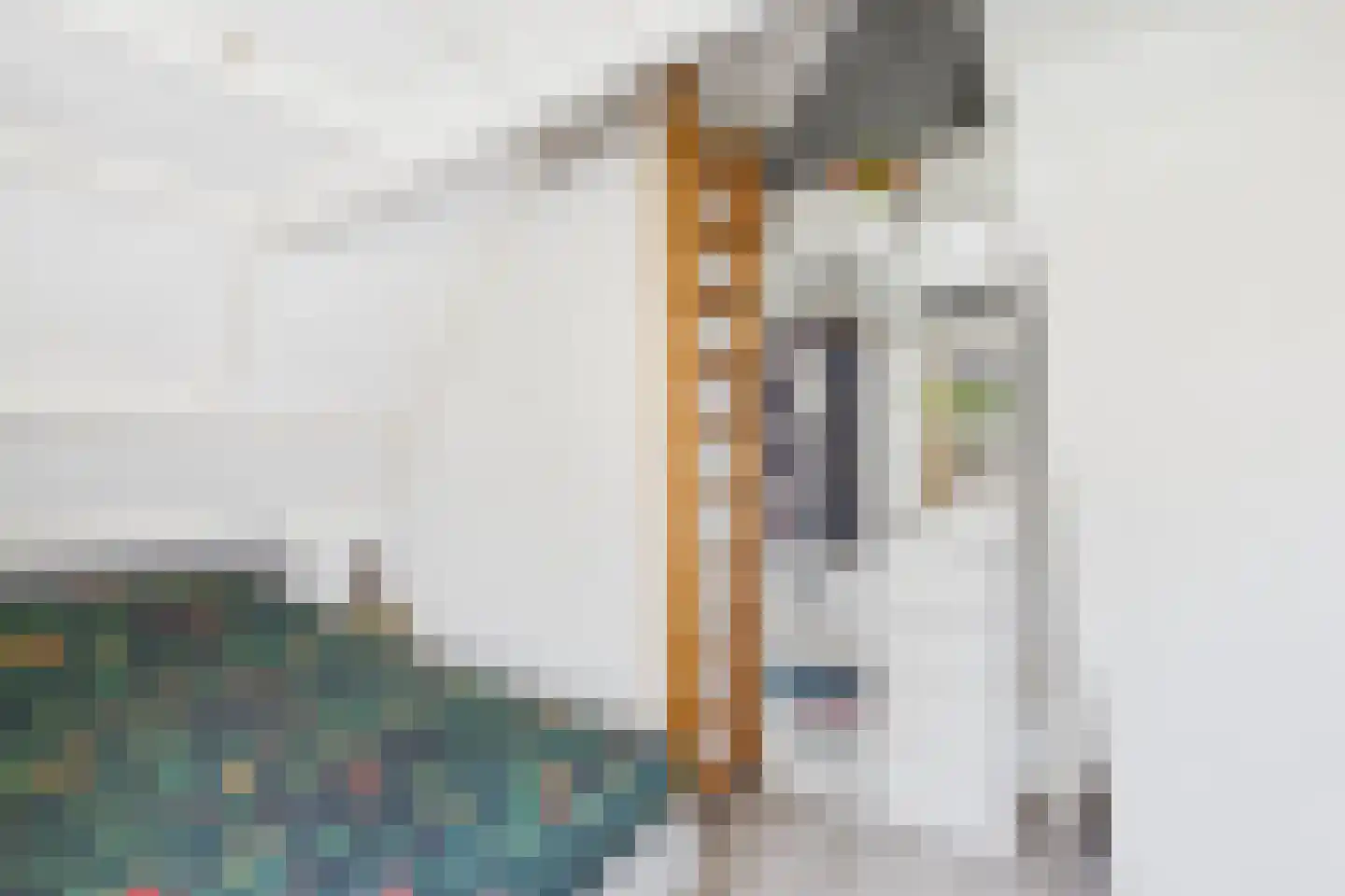Dorpsstraat 48 Gapinge thumbnail 23
