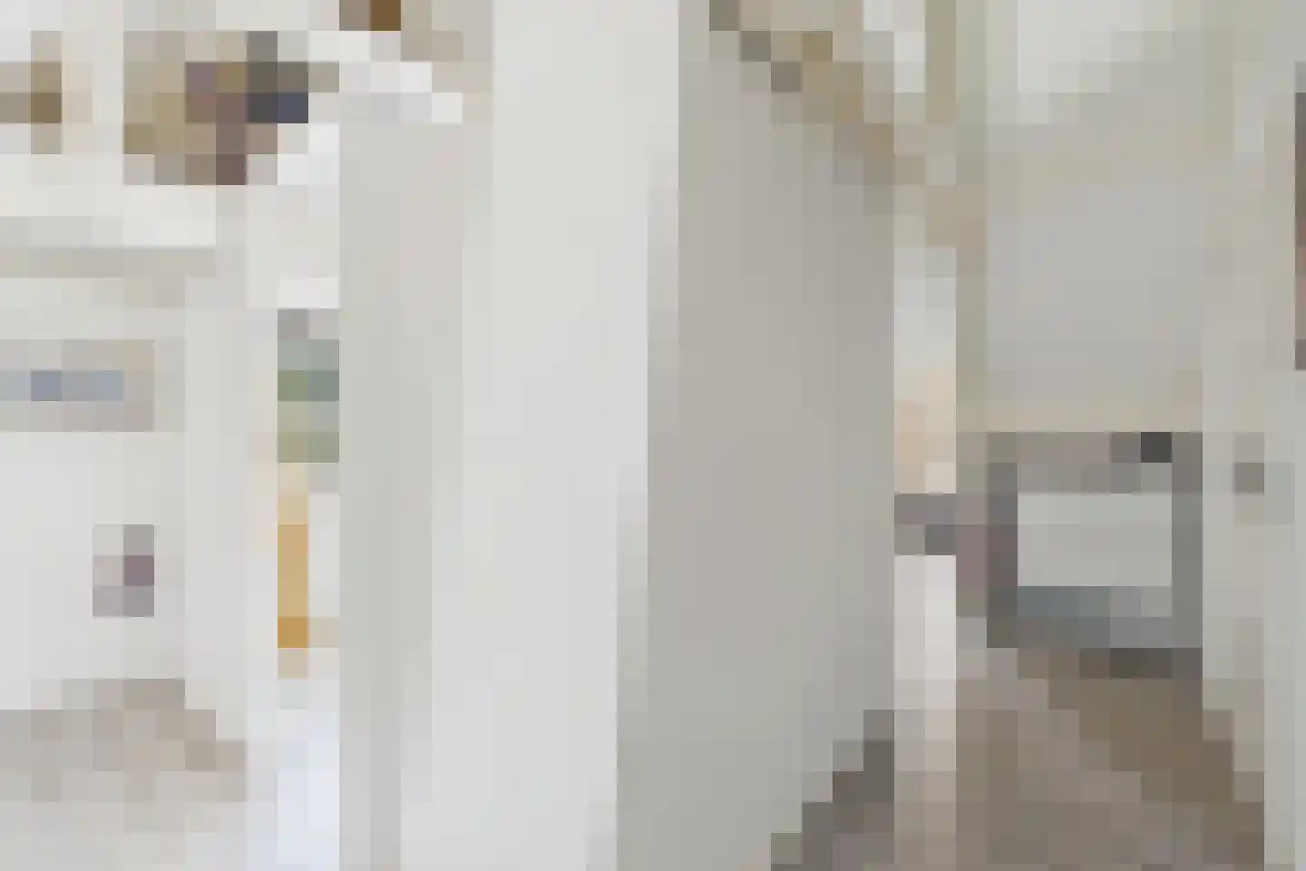 Dorpsstraat 48 Gapinge thumbnail 24