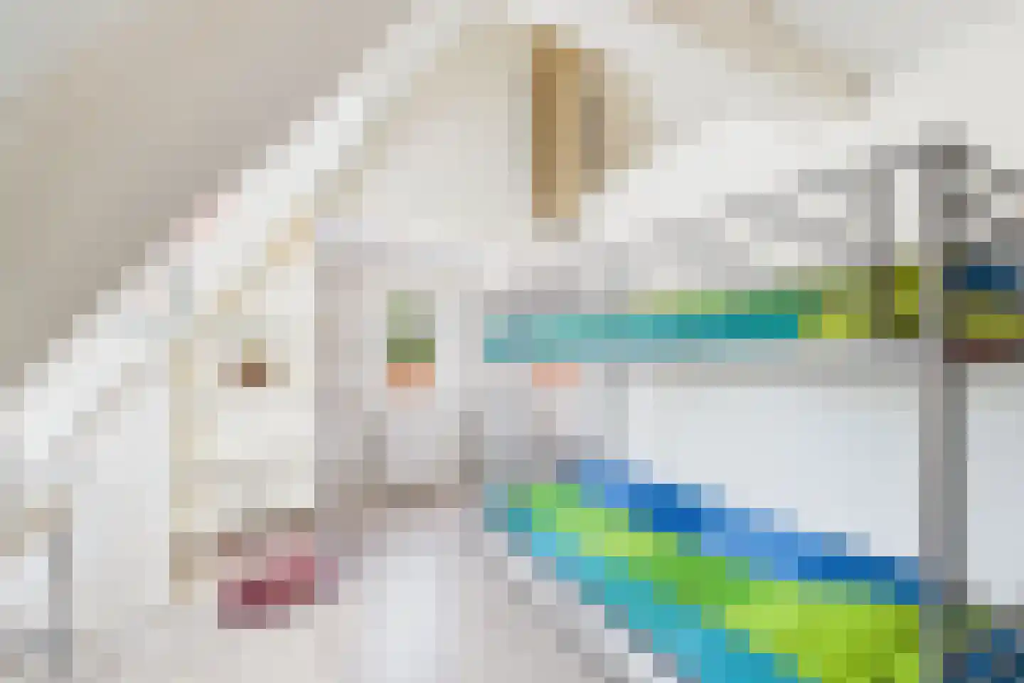 Dorpsstraat 48 Gapinge thumbnail 27