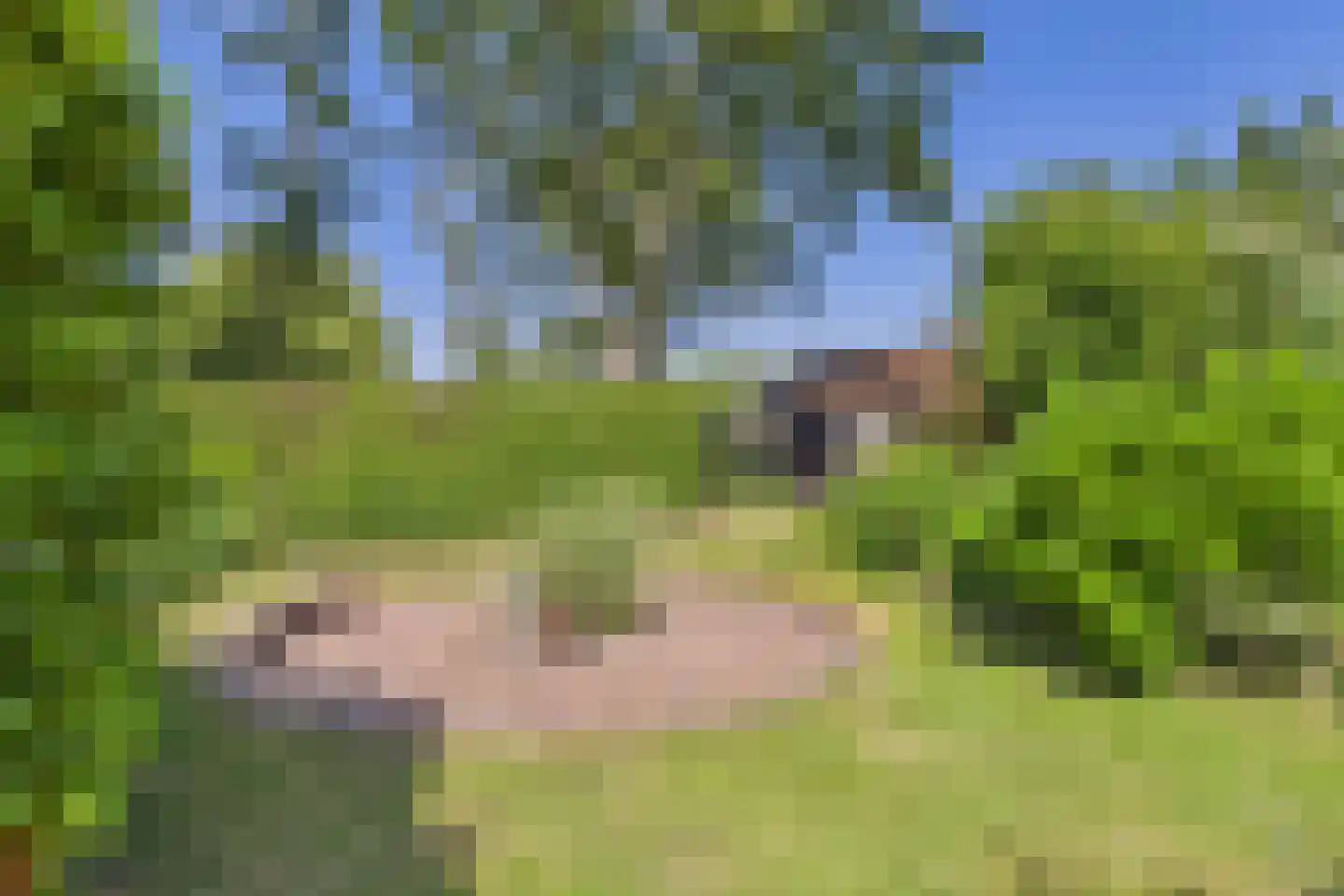 Dorpsstraat 48 Gapinge thumbnail 43