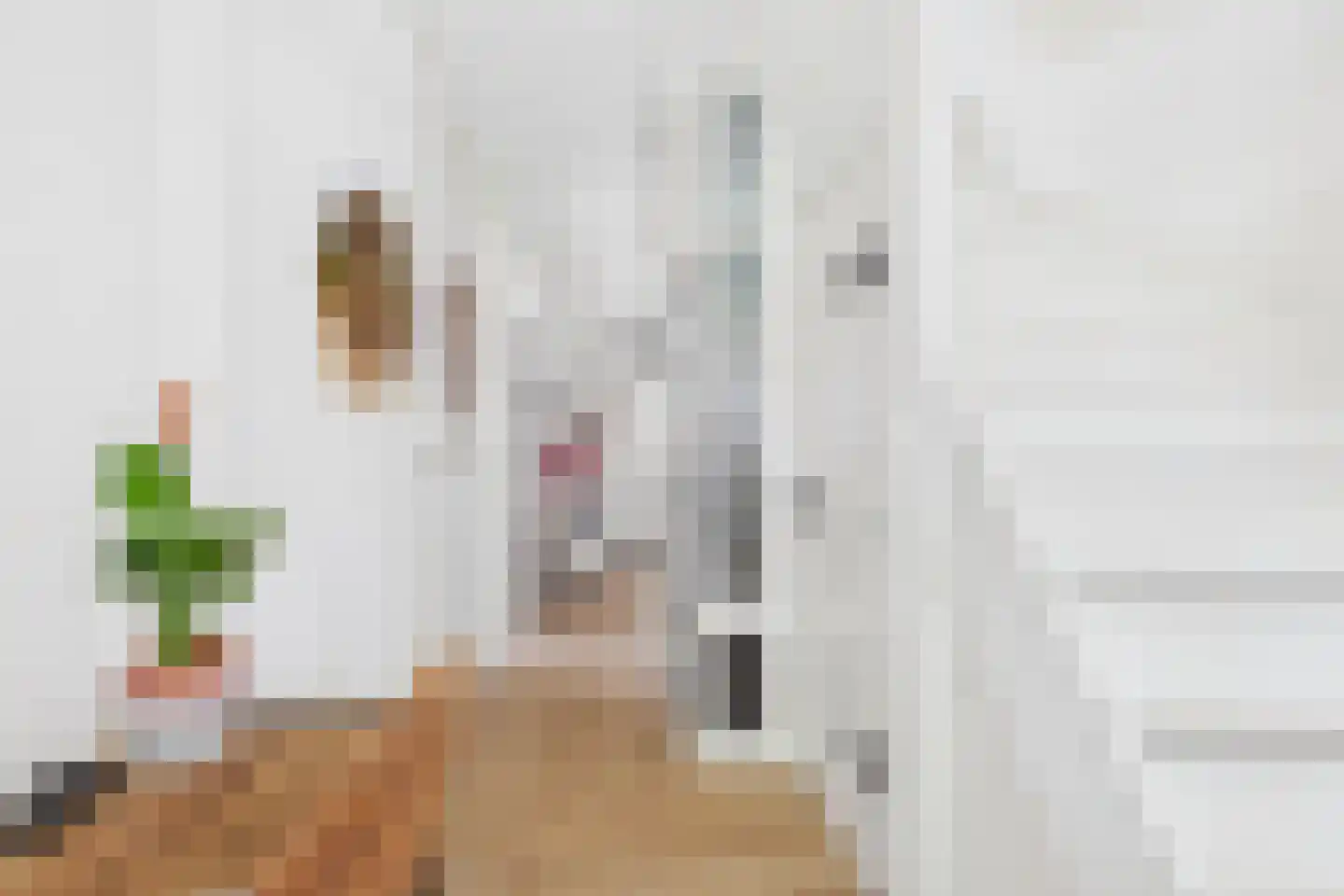 Dorpsstraat 48 Gapinge thumbnail 8