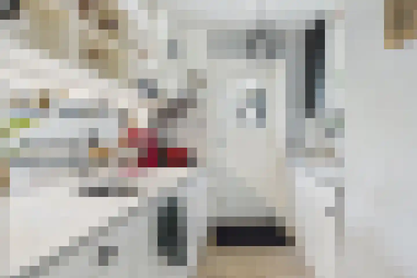 Dorpsstraat 48 Gapinge thumbnail 9