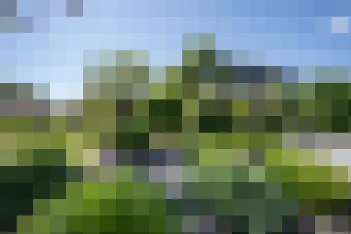 Dorpsstraat 48 Ingen thumbnail 15