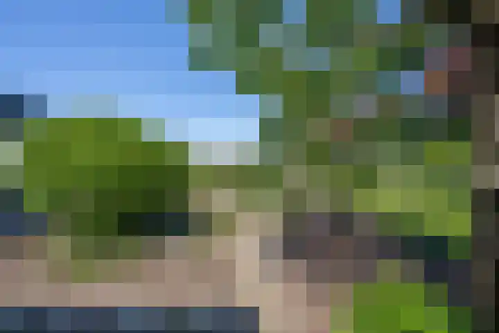Dorpsstraat 48 Ingen thumbnail 31