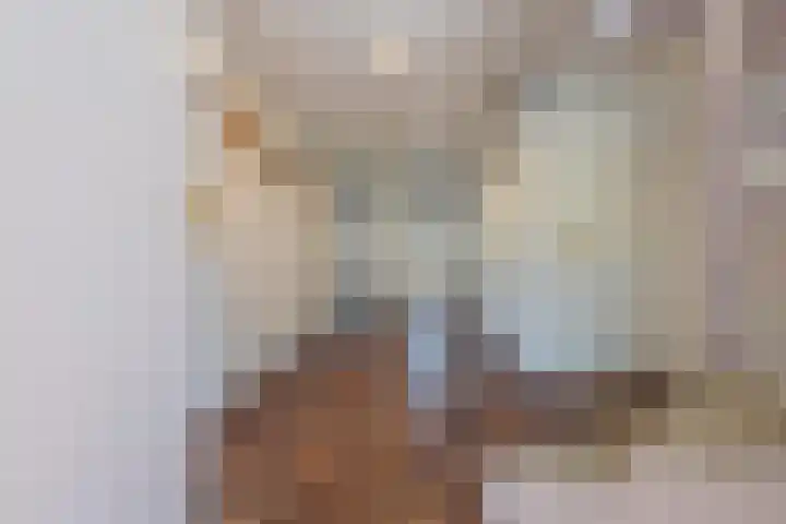 Dorpsstraat 48 Ingen thumbnail 37