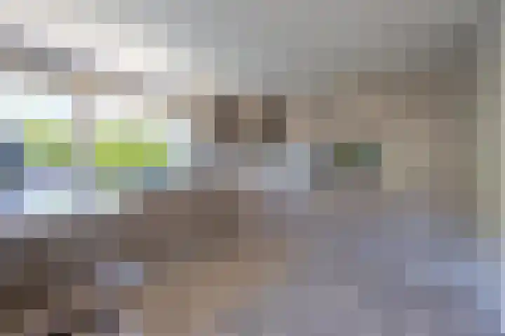 Dorpsstraat 48 Ingen thumbnail 47