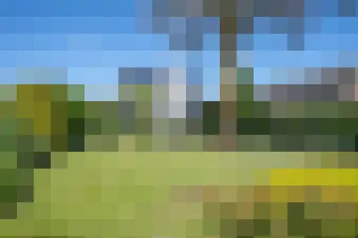 Dorpsstraat 48 Ingen thumbnail 64