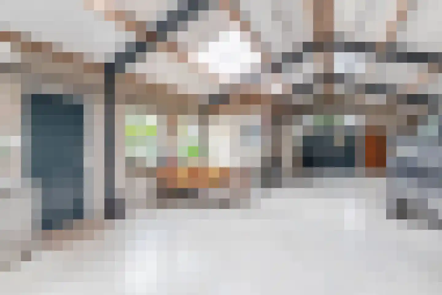 Dorpsstraat 48 Valkenswaard thumbnail 106