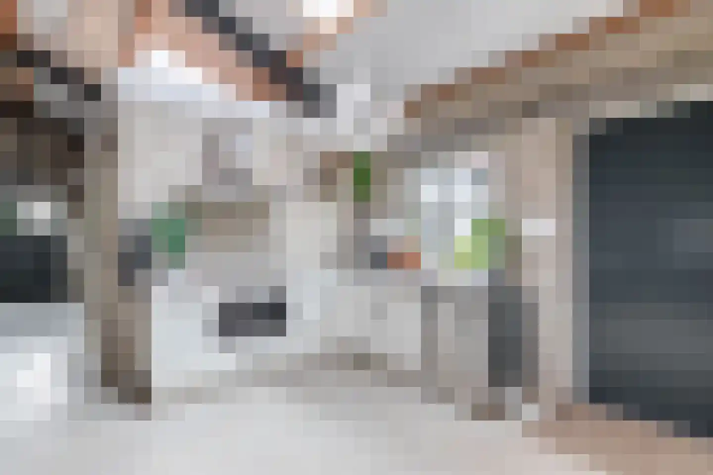 Dorpsstraat 48 Valkenswaard thumbnail 110