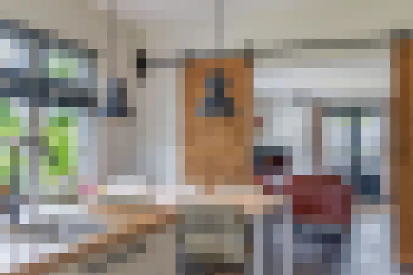Dorpsstraat 48 Valkenswaard thumbnail 13
