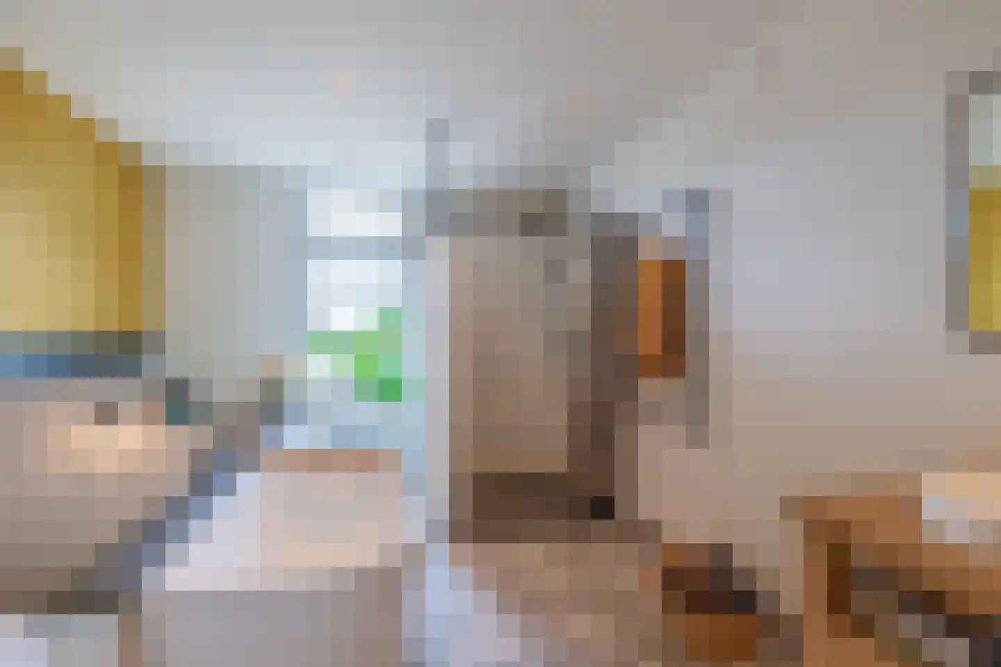 Dorpsstraat 48 Valkenswaard thumbnail 4