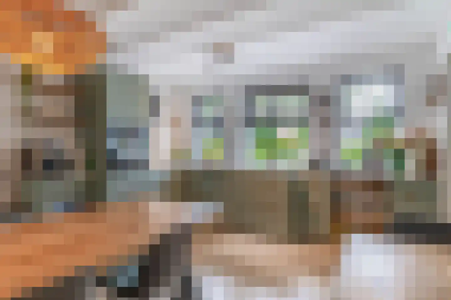 Dorpsstraat 48 Valkenswaard thumbnail 47
