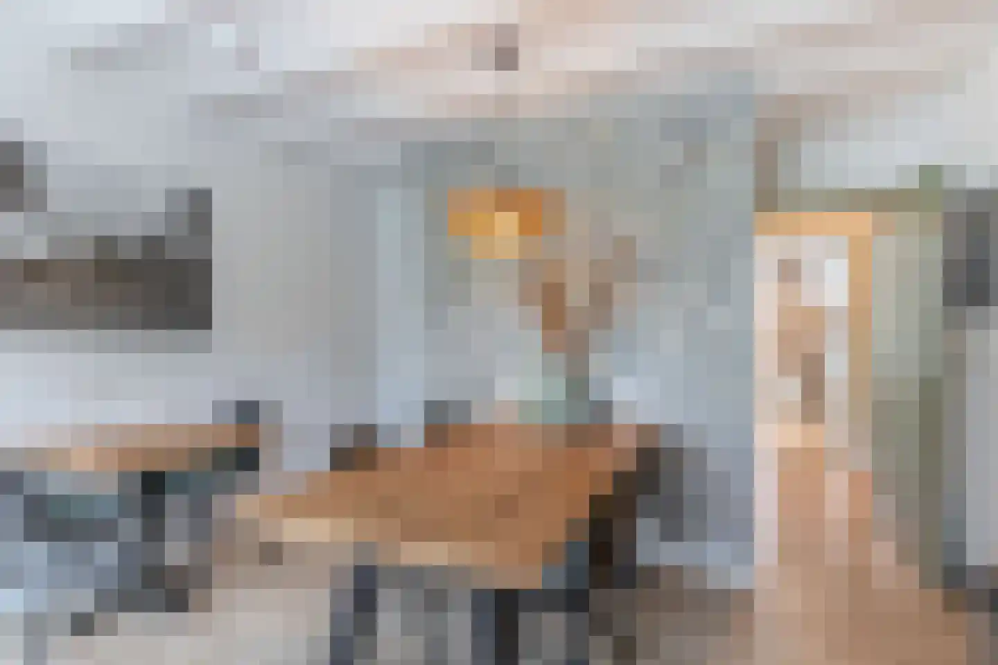 Dorpsstraat 48 Valkenswaard thumbnail 48