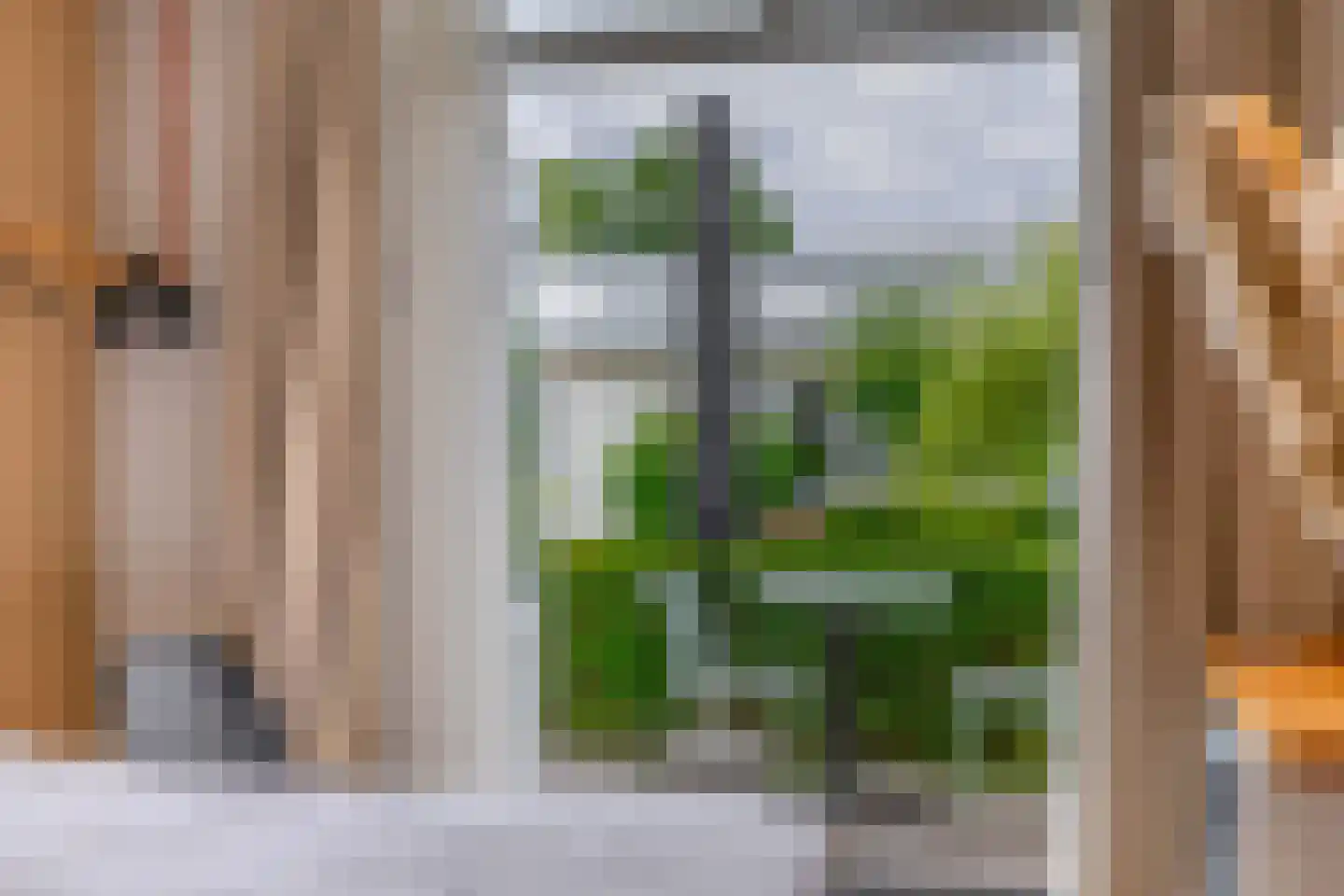 Dorpsstraat 48 Valkenswaard thumbnail 54