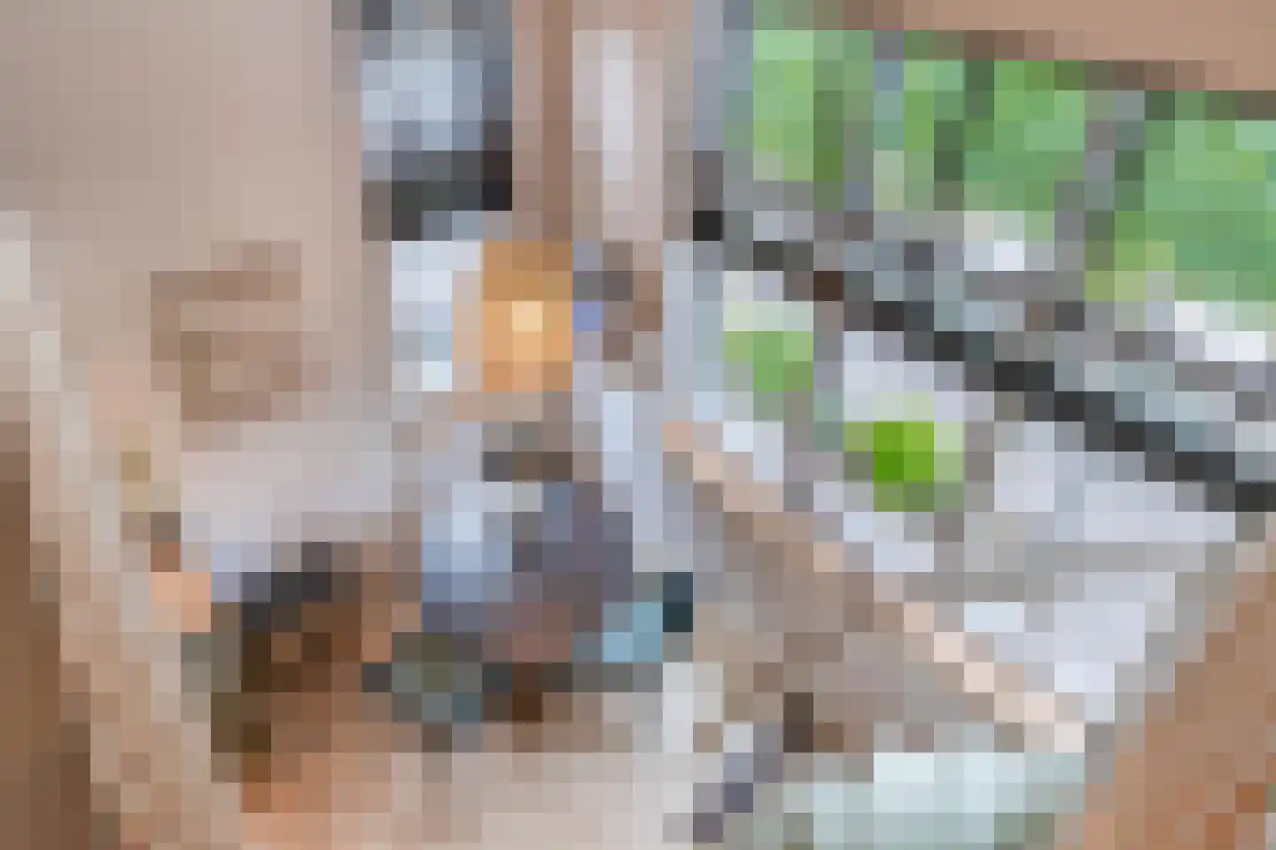 Dorpsstraat 48 Valkenswaard thumbnail 64