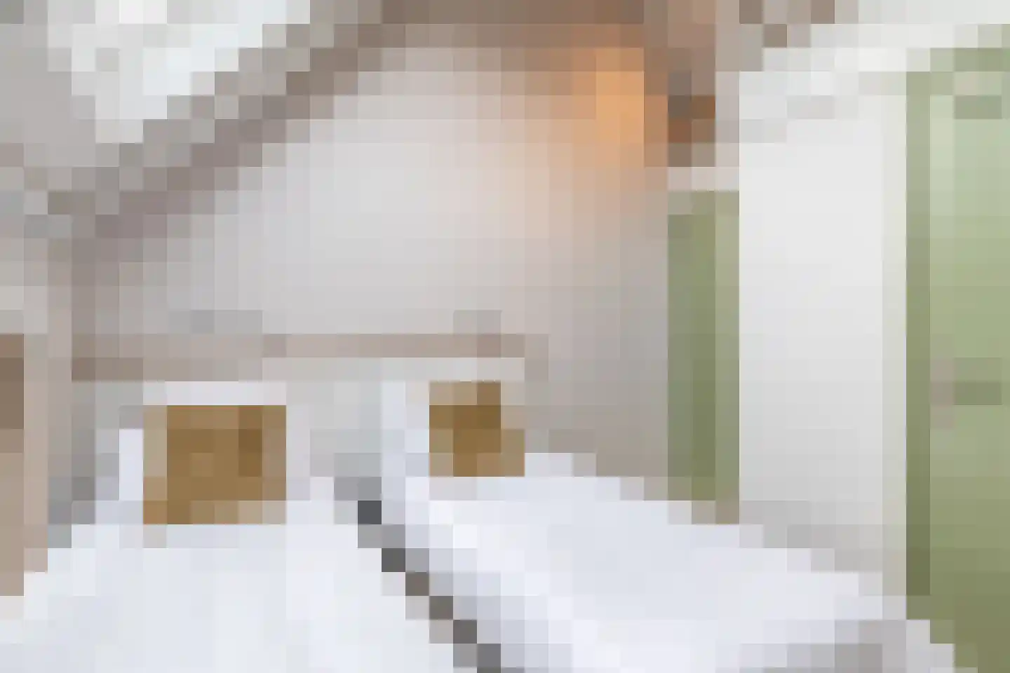 Dorpsstraat 48 Valkenswaard thumbnail 67