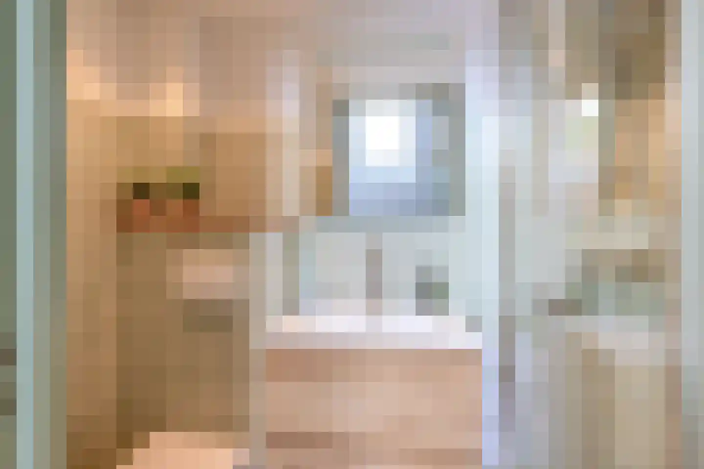 Dorpsstraat 48 Valkenswaard thumbnail 69