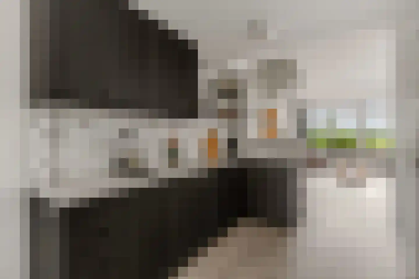 Dorpsstraat 48 Vleuten thumbnail 13