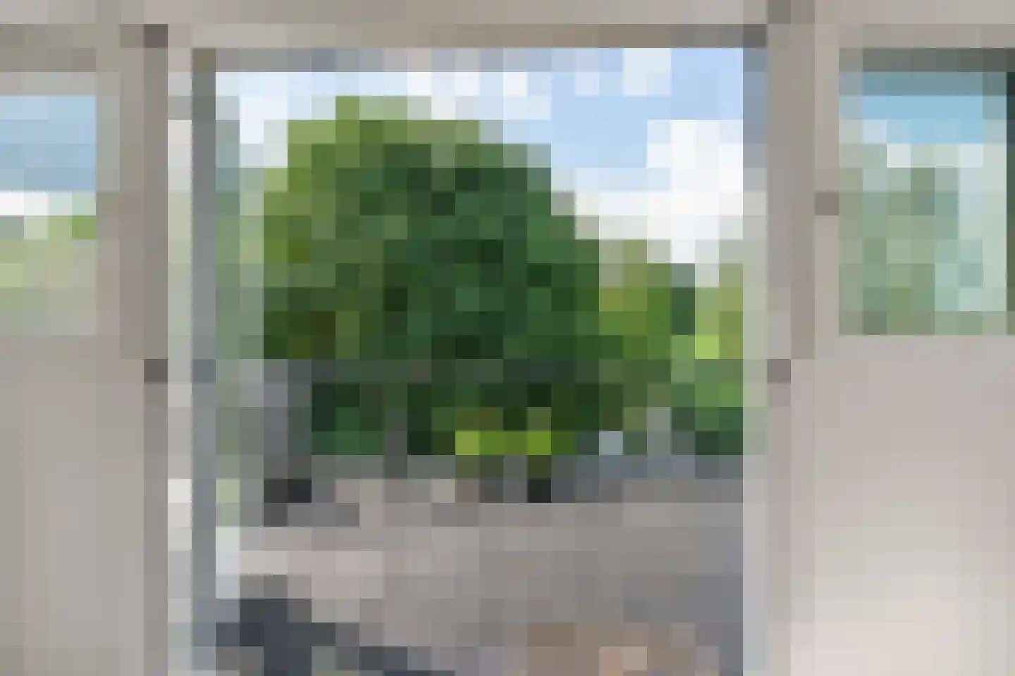 Dorpsstraat 48 Vleuten thumbnail 23
