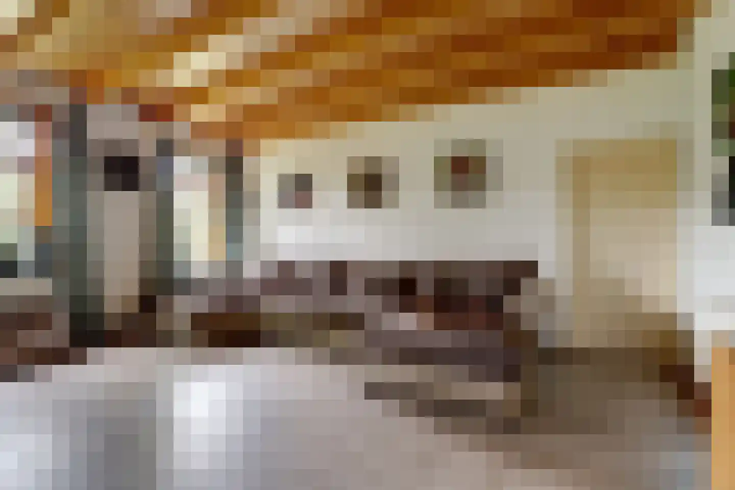 Dorpsstraat 48 Zuidlaarderveen thumbnail 12