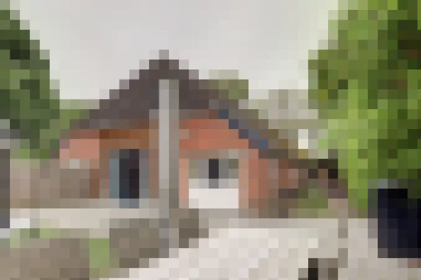 Dorpsstraat 48 Zuidlaarderveen thumbnail 20