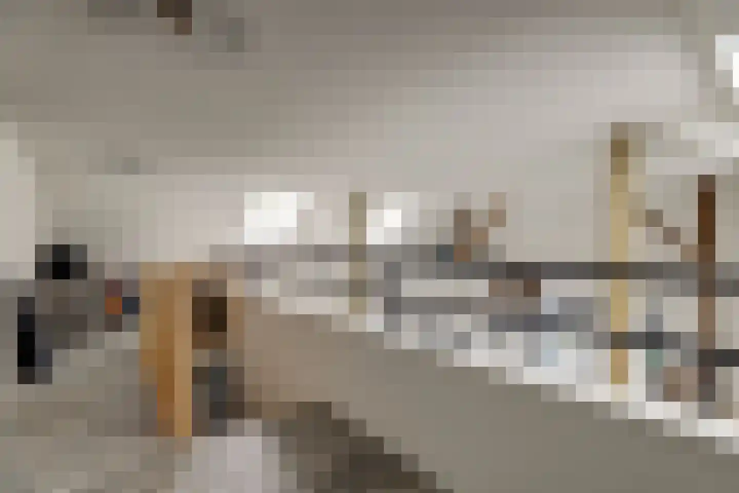 Dorpsstraat 48 Zuidlaarderveen thumbnail 29